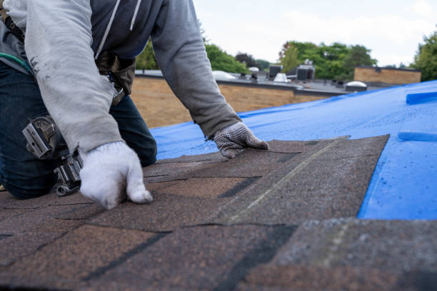 Trusted Newport, AR Roofing Contractor Experts